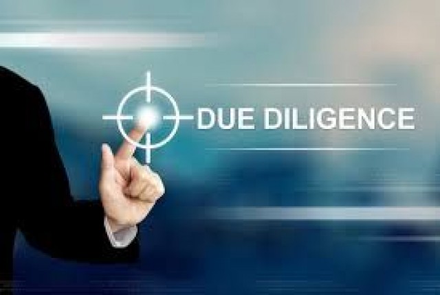 What is Due Diligence Audit