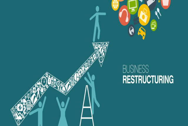 Become acquainted with the importance of financial restructuring in a Business