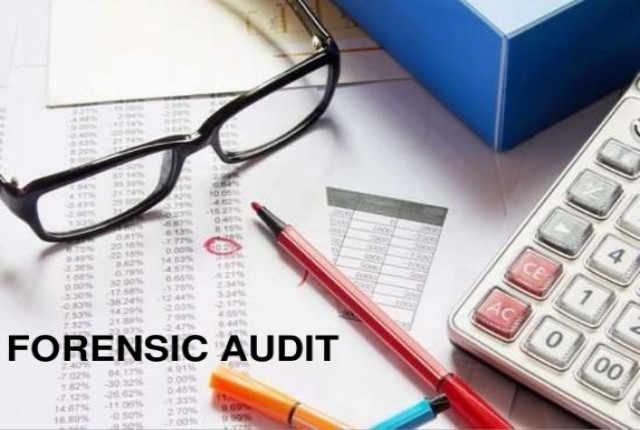 Forensic Audit And Fraud Detection Services